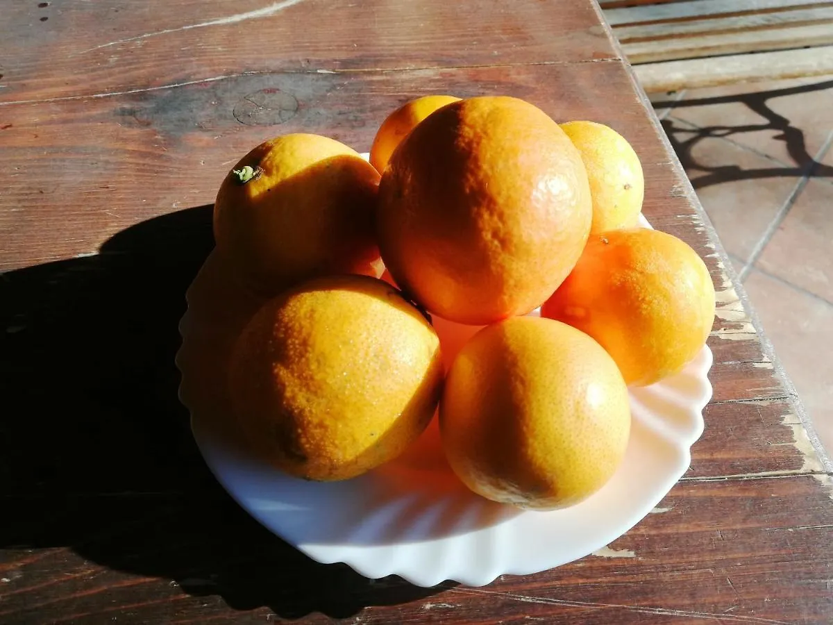 La Casetta B&B Milazzo Bed & Breakfast